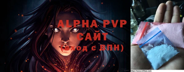 твердый Лагань