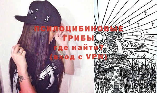 твердый Лагань