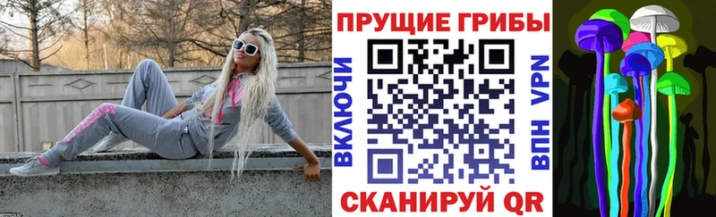ссылка на мегу вход  Медвежьегорск  Галлюциногенные грибы мухоморы 